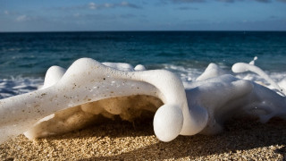 White sand beach surrealist sculpture - a surrealist sculpture free wallpaper