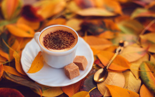 Coffee leaves spoon autumn bokeh - bouchta el hayani free wallpaper for desktop