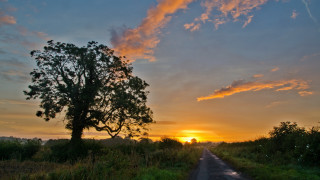 Tree road sunset clouds horizon - sunrise free wallpaper for desktop