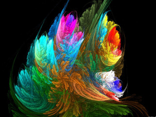 Multicolored abstract flower black background - an abstract painting free wallpaper for desktop