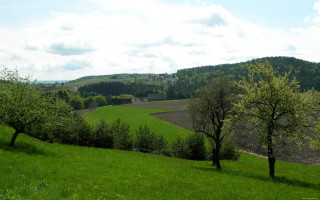 Green field trees hill clouds 2 - tree and a hill in the background free wallpaper