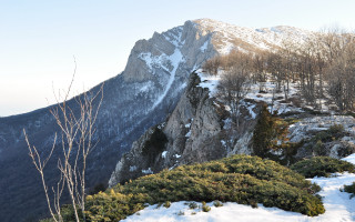 Mountain snow covered trees panorama - alen divi free wallpaper