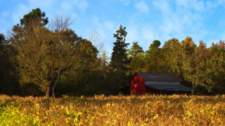 Red barn autumn field trees - american impressionism free wallpaper