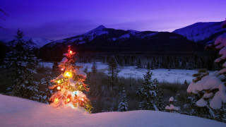 Christmas tree lit snow night 4 - a purple sky free wallpaper for desktop