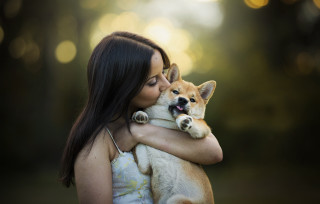 Woman dog park night bokeh - the background and a blurry background free wallpaper