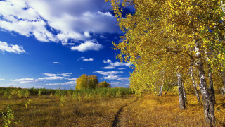 Dirt road trees grass blue 3 - arkhip kuindzhi free wallpaper