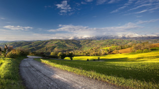 Dirt road green field mountains 6 - a green field free wallpaper for desktop