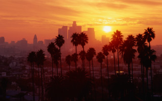 City skyline palm trees sunset 2 - cinematic landscape free wallpaper for desktop
