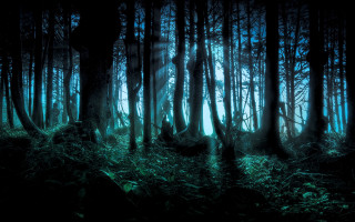 Forest light rays gothic matte - forest free wallpaper for desktop