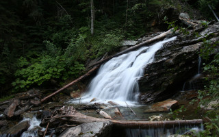 Waterfall forest rocks trees fallen - a waterfall in the middle of a forest free wallpaper