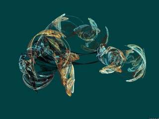 Fish turtle swimming together in - an abstract drawing free wallpaper