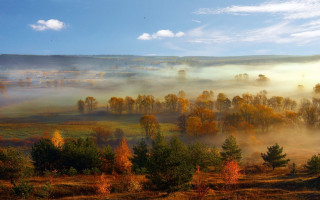 Foggy landscape trees field blue - andrey ryabovichev free wallpaper