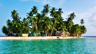 Beach hut palm trees ocean 2 - a blue ocean free wallpaper