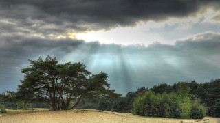 Tree field sky sunbeams bench - the cloud above free wallpaper for desktop