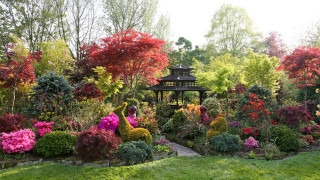 Garden gazebo colorful flowers autumn 2 - rich vivid color free wallpaper
