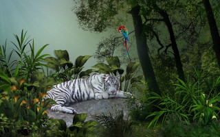White tiger parrots bamboo forest - a white tiger free wallpaper