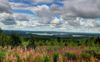 Lake forest hilltop clouds panorama - a hill top free wallpaper