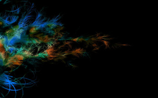 Black background colorful flowers generative - edward dugmore free wallpaper