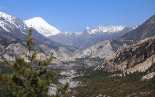 Mountain valley pine snowy forest - a view of a valley free wallpaper