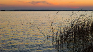 Lake tallgrass sunset clouds forest - the foreground and a sunset in the background free wallpaper