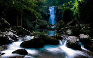 Waterfall forest rocks waterflow nature - rock and water free wallpaper