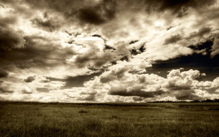 Cloudy sky horse field beach - cloud and grass free wallpaper