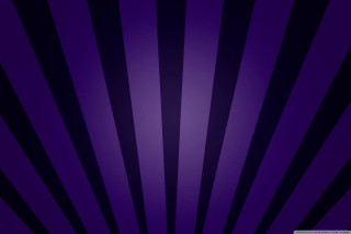Purple background black stripes black - white stripe free wallpaper