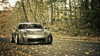 Car woods leaves tiltshift glossy - glossy free wallpaper