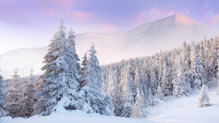 Snowy mountain forest pink sky - minimalism free wallpaper