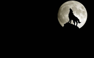 Wolf hill fullmoon gothic illustration - visible free wallpaper
