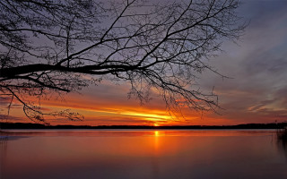 Sunset lake tree branch clouds - arthur quartley free wallpaper
