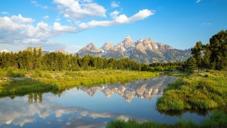 River mountain grass trees sky - the foreground and trees free wallpaper