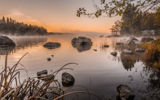 Lake rocks water fog trees - mist free wallpaper for desktop