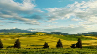 Green field trees mountains clouds - tree and mountains free wallpaper for desktop