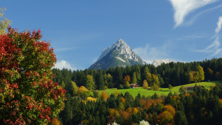 Mountain house forest lake autumn - a mountain free wallpaper for desktop