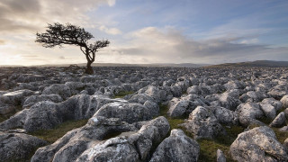Lone tree desert rocks sunset 2 - the rock free wallpaper
