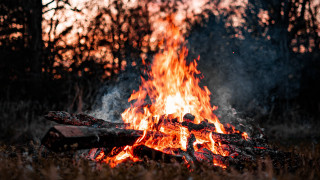 Firewood burning embers autumn forest - primitivism free wallpaper