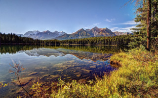 Lake mountains trees sky shore - a clear sky above free wallpaper