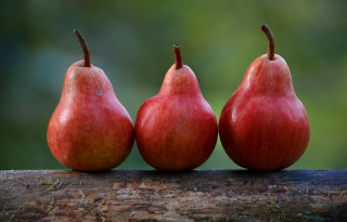 Three pears red green background - a blurry background of trees free wallpaper for desktop