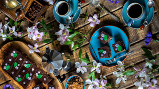 Blue plates desserts flower coffee - food photography free wallpaper for desktop
