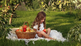Little girl basket of apples - a basket of apples free wallpaper
