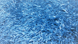 Blue surface blue objects background - surface free wallpaper for desktop