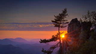 Sunset mountain tree bright sun - a bright sun in the distance free wallpaper