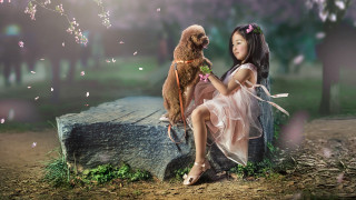 Girl dog park whimsical illustration - chen chun free wallpaper