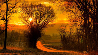 Dirt road autumn leaves sunset - a yellow light free wallpaper for desktop