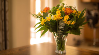 Vase flowers window curtain stilllife - a curtain behind free wallpaper