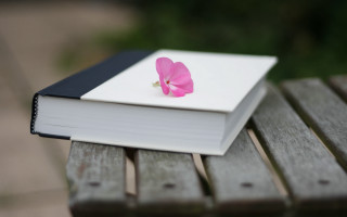 Book pinkflower bench sunny blurry - book cover free wallpaper for desktop