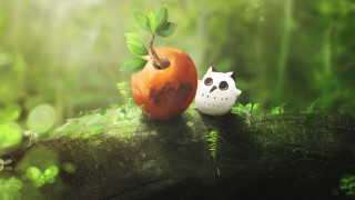 White cat orange apple forest - eden box free wallpaper