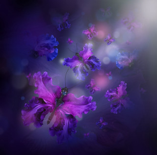 Purple flower butterfly glowing fairy - purple flower free wallpaper for tablet