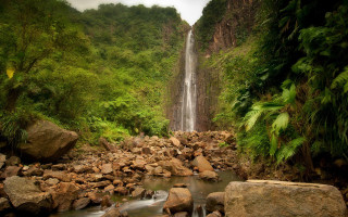 Waterfall jungle rocks trees people - a few person free wallpaper